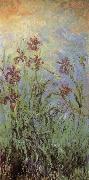 Claude Monet Lilac Irises USA oil painting artist
